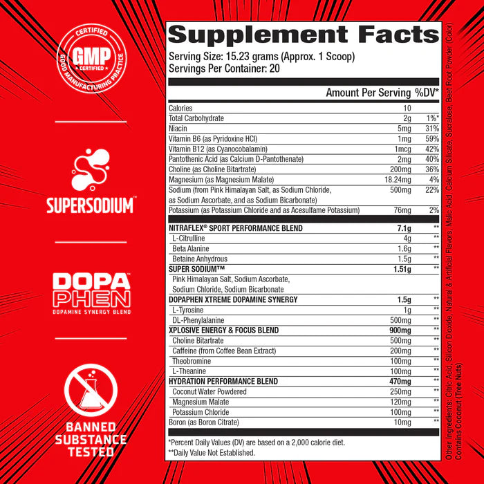 GAT Sports, Nitraflex Sport, 300g, 20 Servings