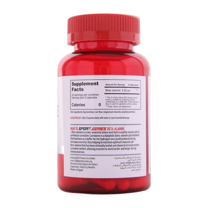 Building Blox, Sport Series, Beta-Alanine, 750mg, 90 Capsules, 30 Servings