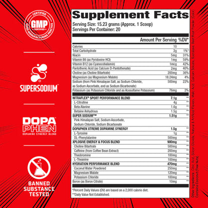 GAT Sports, Nitraflex Sport, 300g, 20 Servings