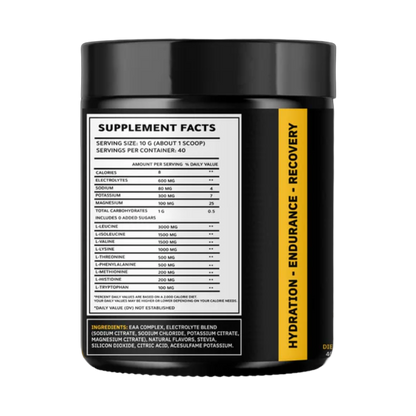 Lmnt Labs, EAA + Electrolytes, 400g, 40 Servings