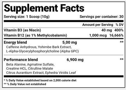 Terror Labz, Maniac, 300g, 30 Servings